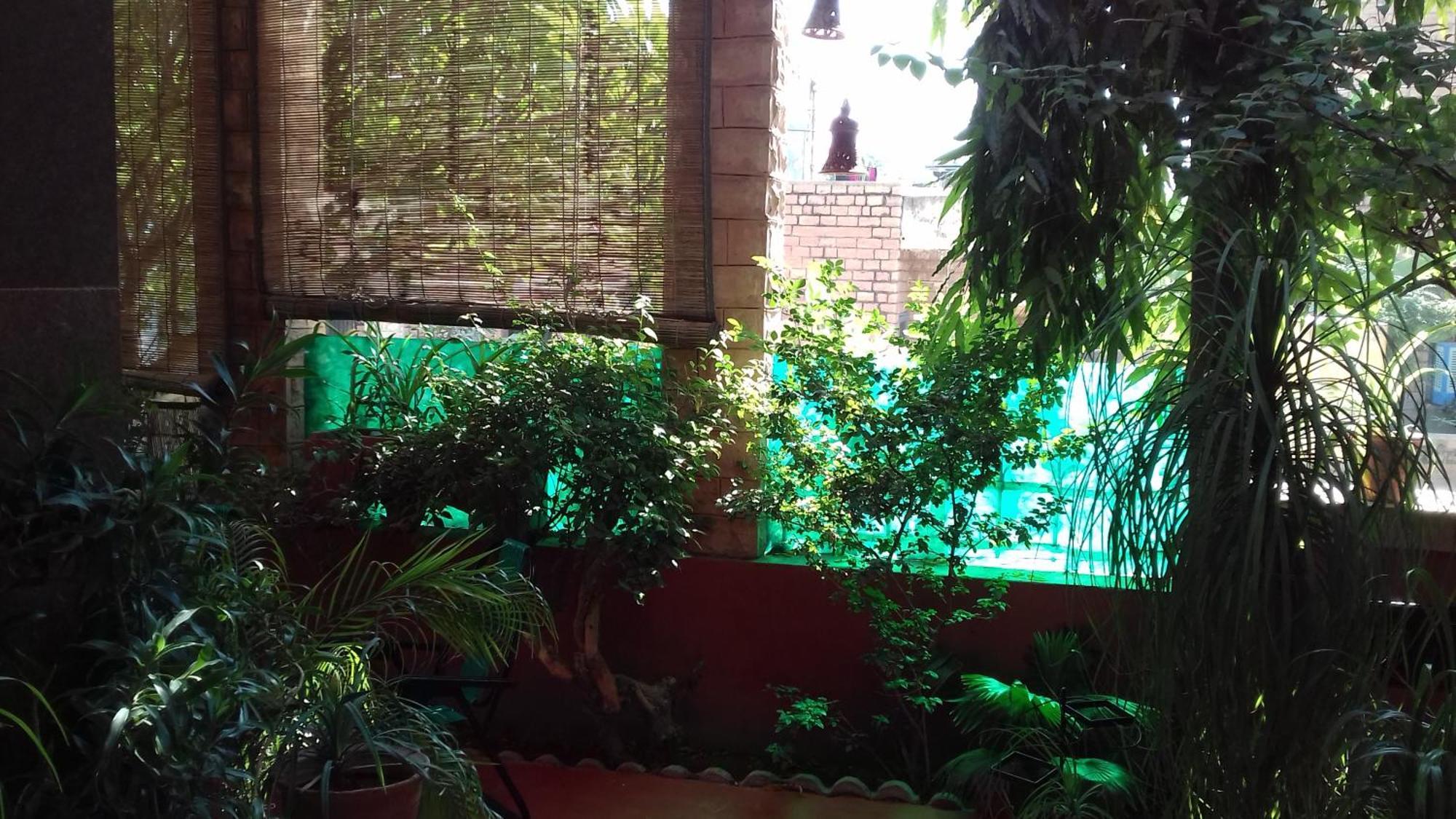 "Nain'S Kunj" A Traveller'S Home Jodhpur  Exterior photo